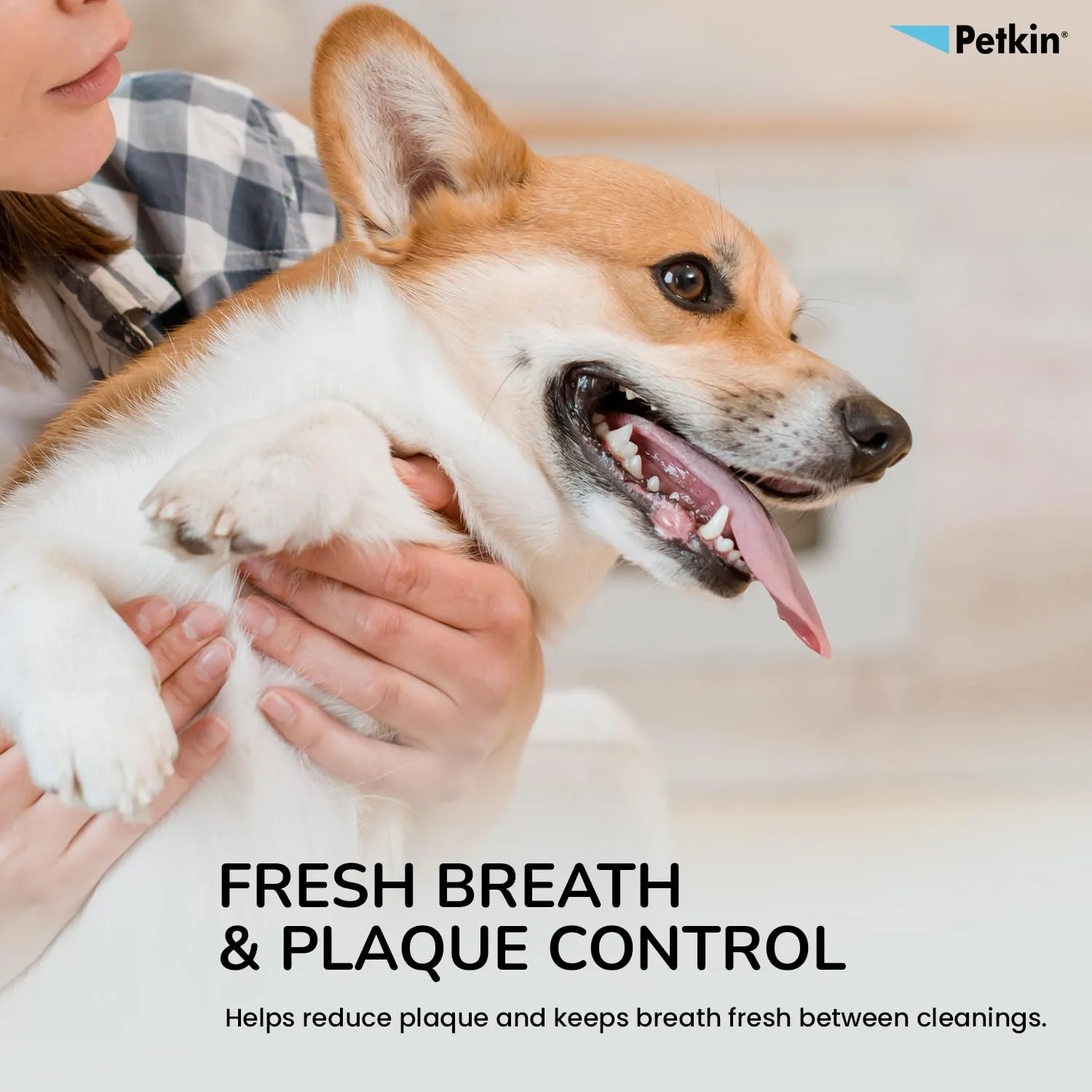 In-Depth Review: best pet toothbrush - Petkin Plaque Fresh Mint Toothwipes 40 Count Dog & Cat Dental Cleaning Wipes | Fresh Mint Dental Wipes 7 Petkin Plaque Fresh Mint T - view 6