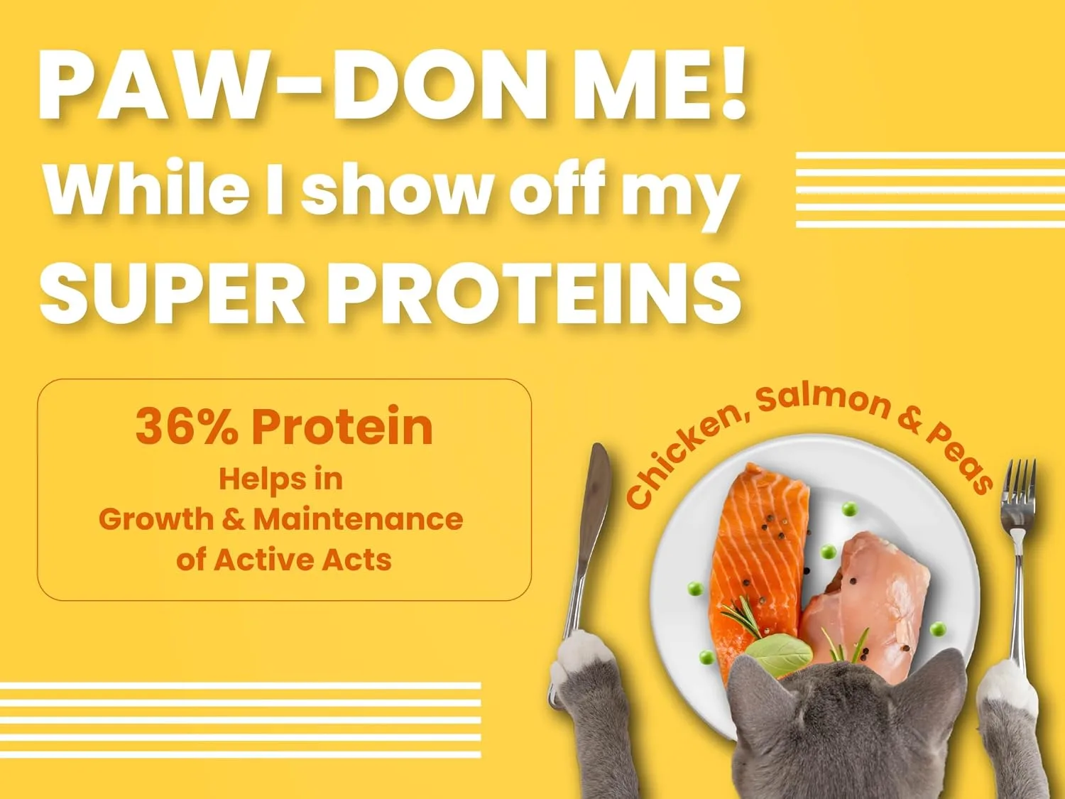 In-Depth Review: best cat food india - Bark Out Loud by Vivaldis – Adult Dry Cat Food Chicken & Salmon 1 Kg Protein-Packed Immunity Growth 8 Bark Out Loud by Vivaldi - view 7
