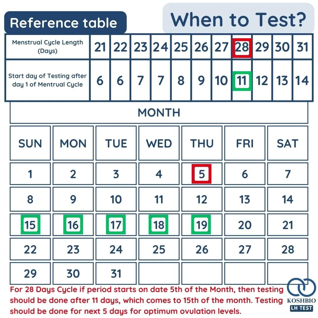 In-Depth Review: best ovulation test kit - Koshbio Ovulation Test Kit LH Rapidtest for women to check fertile days (PACK OF 5) | | best ovulation test 7 Koshbio Ovulation Test Kit - view 6