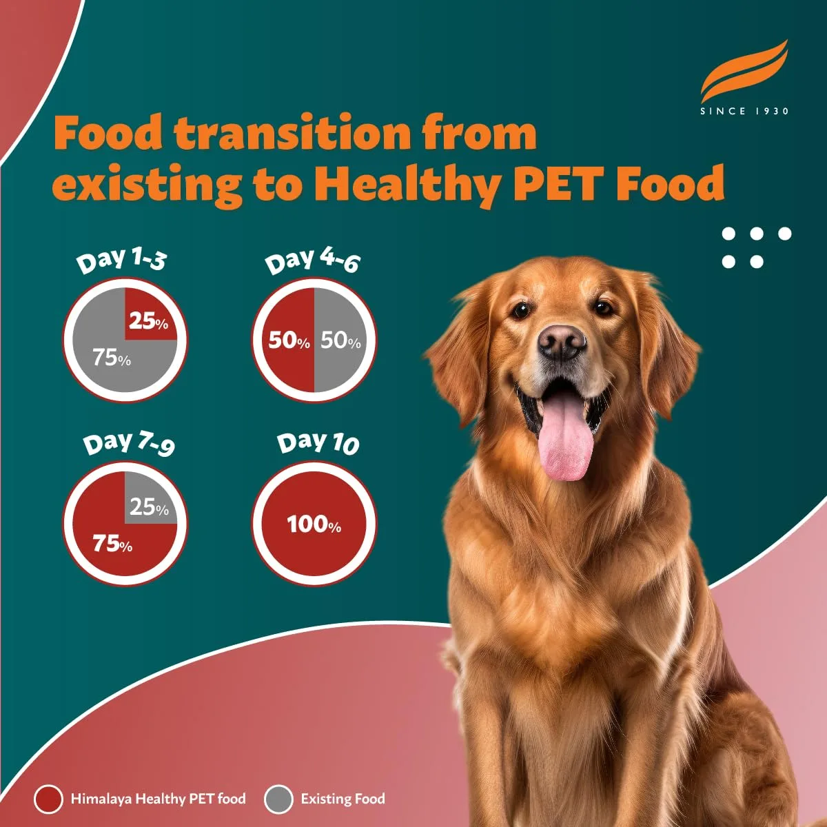 In-Depth Review: best dog food india - Himalaya Healthy PET Food for Adult Dogs | Meat & Rice | 1.2kg | Complete & Balanced Nutrition with Mountain Kn 7 Himalaya Healthy PET Food fo - view 6