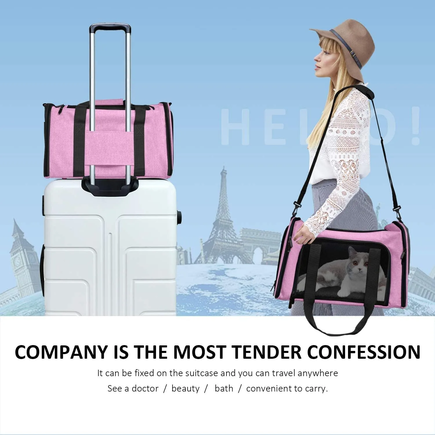 In-Depth Review: best pet travel bag - PETANGEL Airline Approved Cat Carriers Small Dog Carrier Pet Carrier Bag for Kittens Puppies up to 4Kg, Small D 7 PETANGEL Airline Approved Ca - view 6