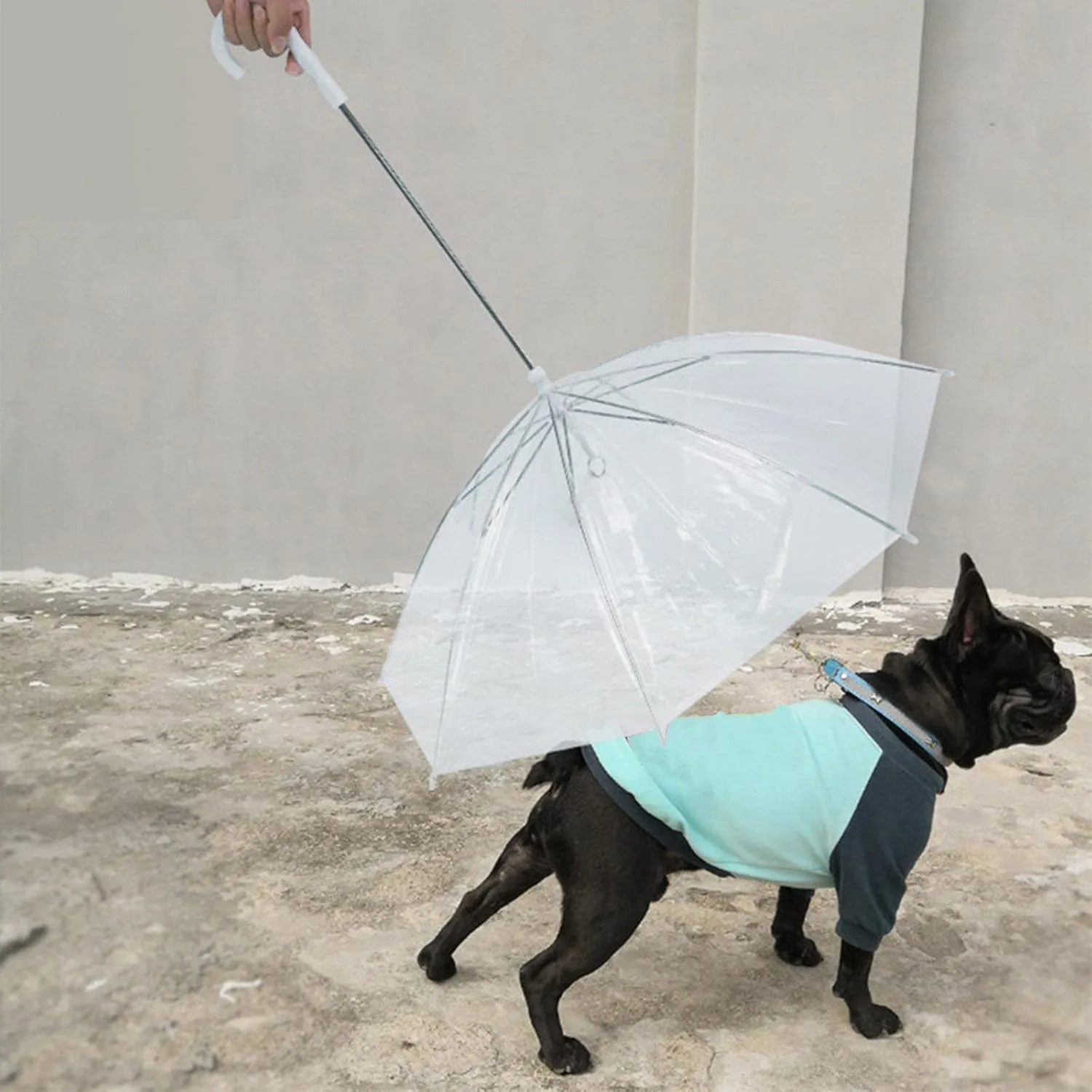 best pet umbrella
