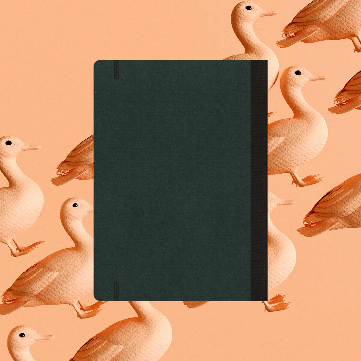 In-Depth Review: best sketch book - flexbook A5 Size Black Sketchbook 170gsm Special Quality Munken 96 Pages | 100% Flexible Lay Flat Premium High Qua 7 flexbook A5 Size Black Sketc - view 6