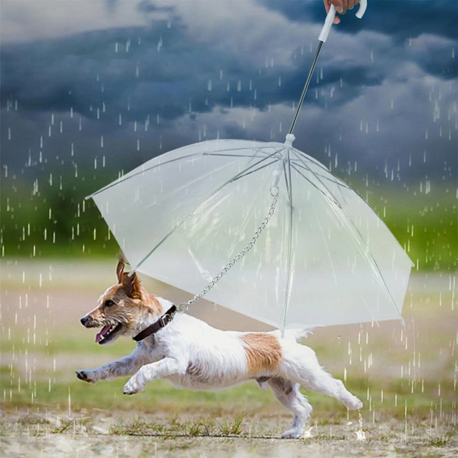 Creations Pet Umbrella with L - view 9