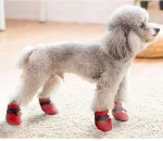KUTKUT Small Dog Boots Paw - view 4