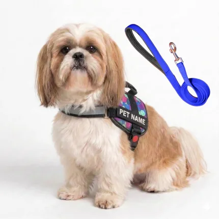 best dog life jacket