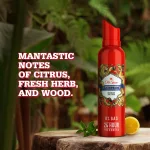 Old Spice Deodorant Pac - view 3