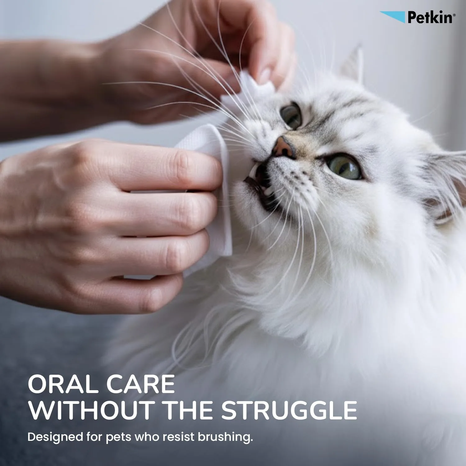 In-Depth Review: best pet toothbrush - Petkin Plaque Fresh Mint Toothwipes 40 Count Dog & Cat Dental Cleaning Wipes | Fresh Mint Dental Wipes 4 Petkin Plaque Fresh Mint T - view 3