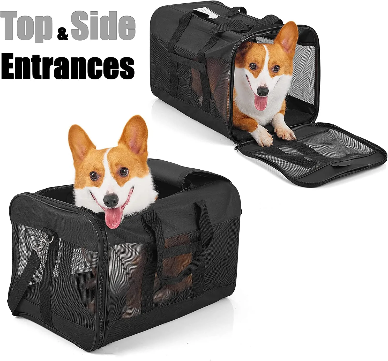 In-Depth Review: best pet carrier for travel - KIKA Pets SPRINGFRAME Carrier Dog Carrier Soft Sided Pet Travel Carrier for Cats, Small Dogs, Kittens o 9 KIKA Pets SPRINGFRAME Ca - view 8