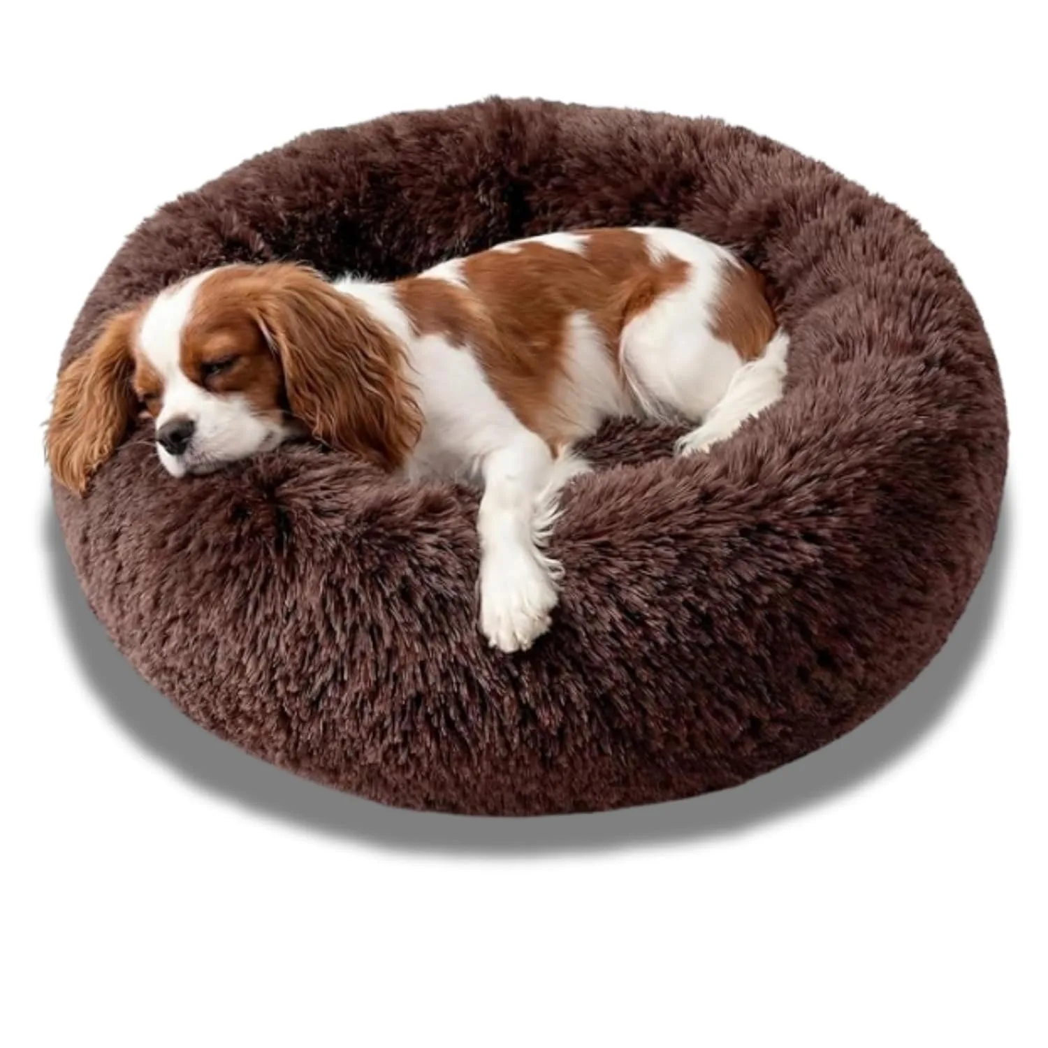 best pet bed heated