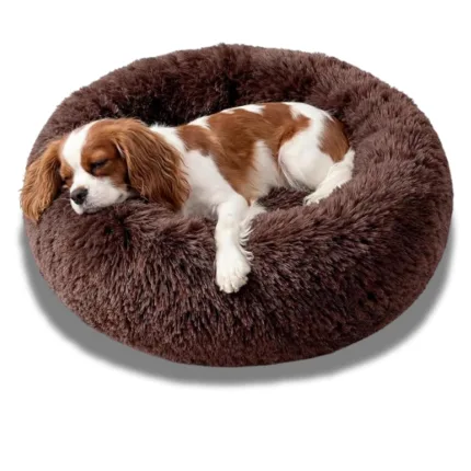 best pet bed heated