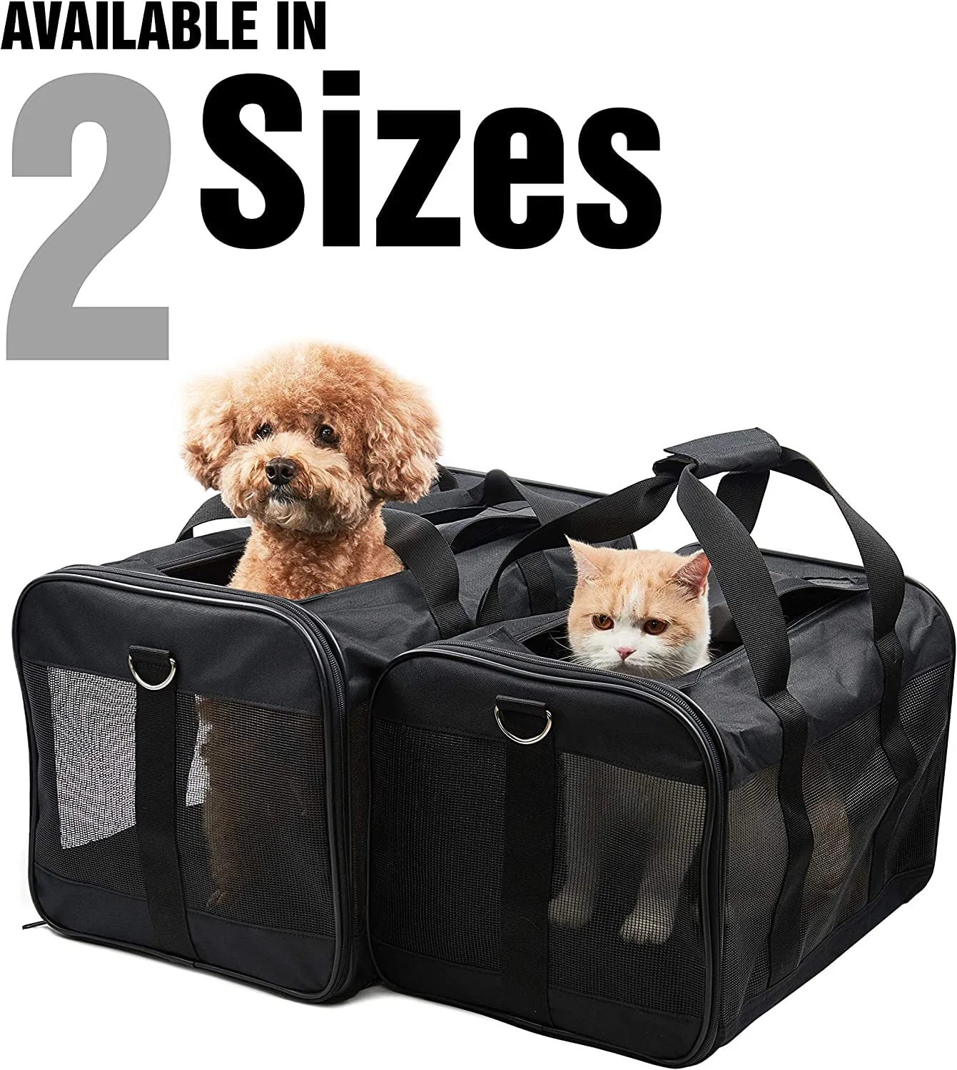 In-Depth Review: best pet carrier for travel - KIKA Pets SPRINGFRAME Carrier Dog Carrier Soft Sided Pet Travel Carrier for Cats, Small Dogs, Kittens o 4 KIKA Pets SPRINGFRAME Ca - view 3