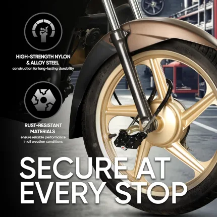 TVS Disc Lock For Bikes - view 2