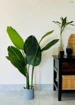 best artificial plants indoor