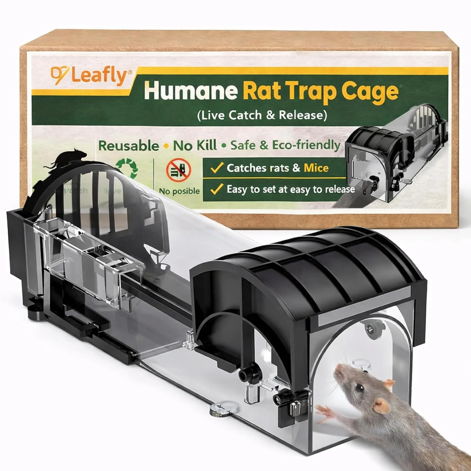 best rat trap cage