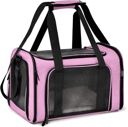 best pet travel bag