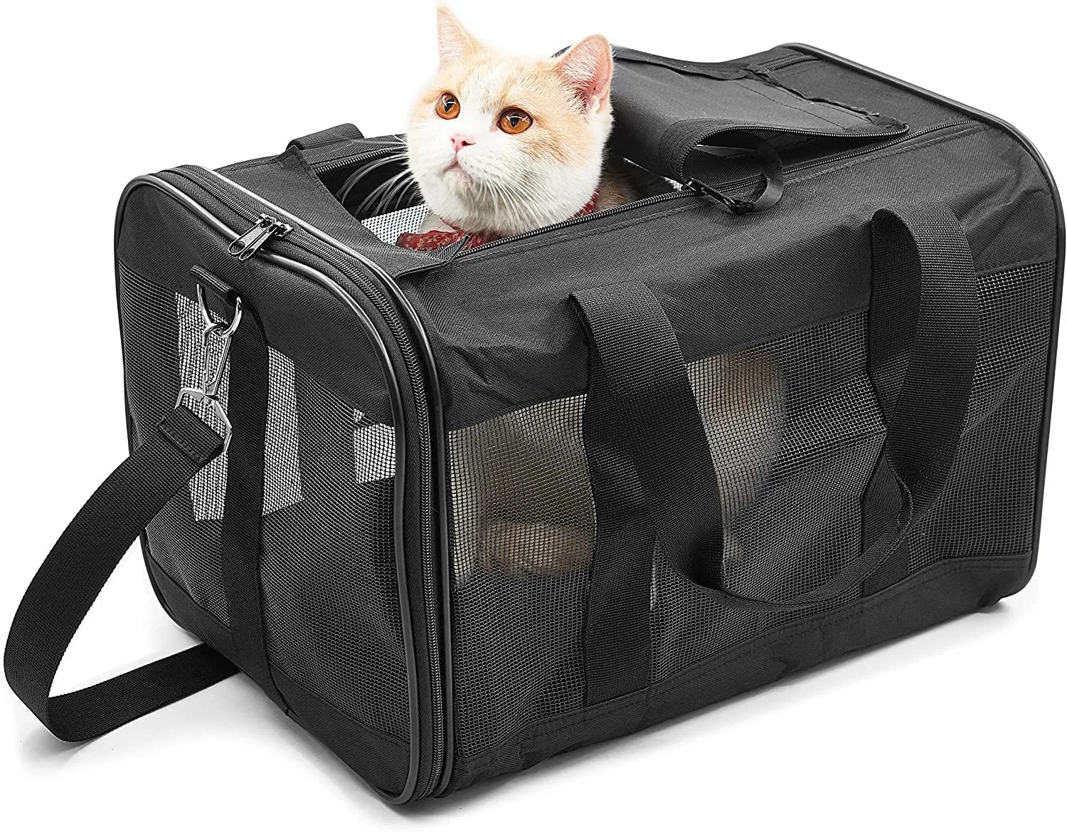 In-Depth Review: best pet carrier for travel - KIKA Pets SPRINGFRAME Carrier Dog Carrier Soft Sided Pet Travel Carrier for Cats, Small Dogs, Kittens o 1 best pet carrier for travel