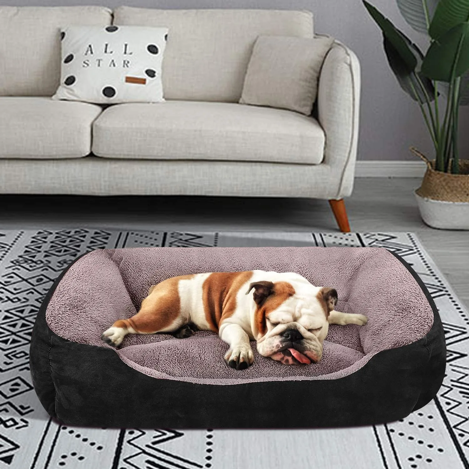 In-Depth Review: best dog bed washable - KOZI PET Dog Beds for Dog & Cats, Rectangle Pet Bed Thickened Enough with Soft Coral Fleece and,Durable 3 KOZI PET Dog Beds for Do - view 2