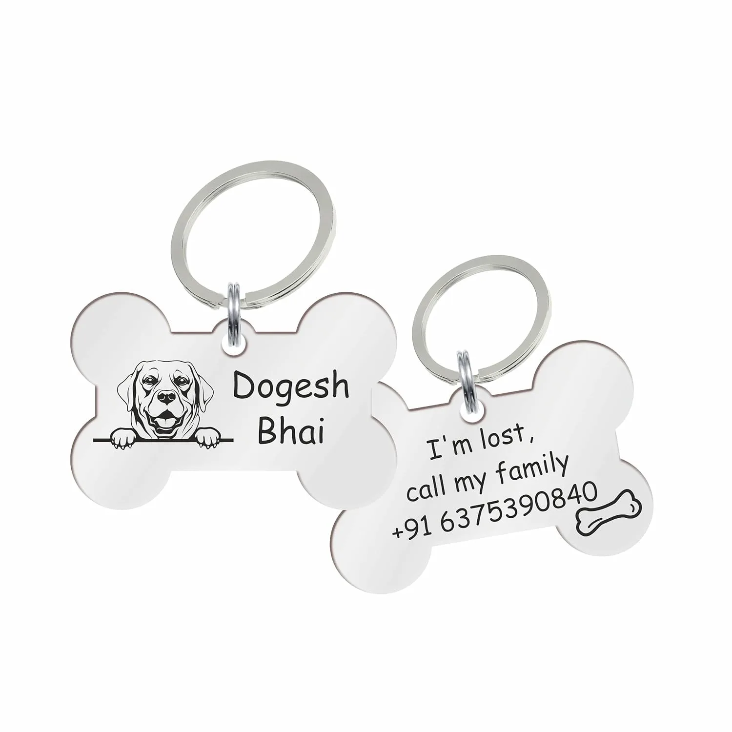best dog id tag