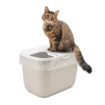 best cat litter box
