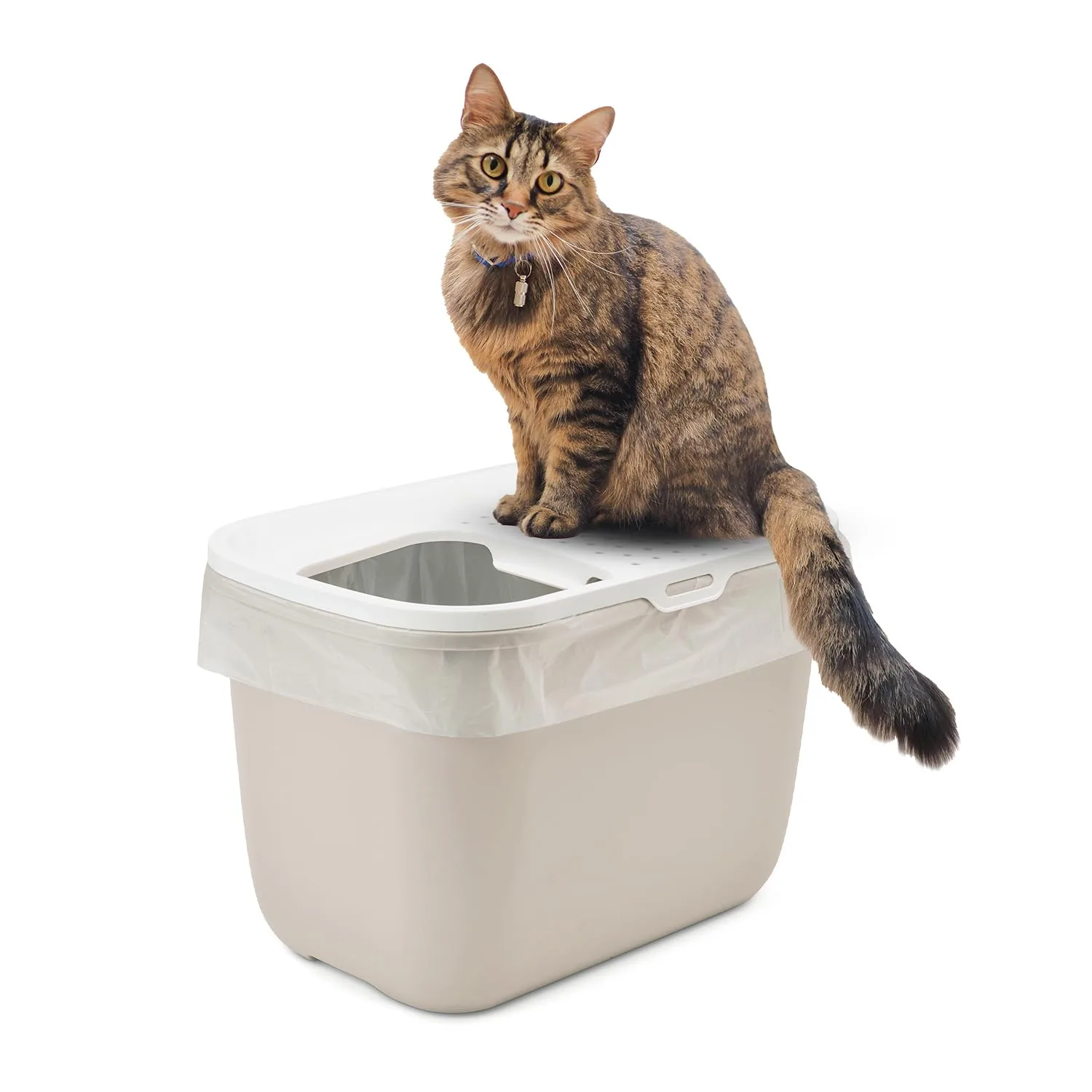 In-Depth Review: best cat litter box - Savic Hop in Modern Cat Litter Tray, Mocca 2 best cat litter box
