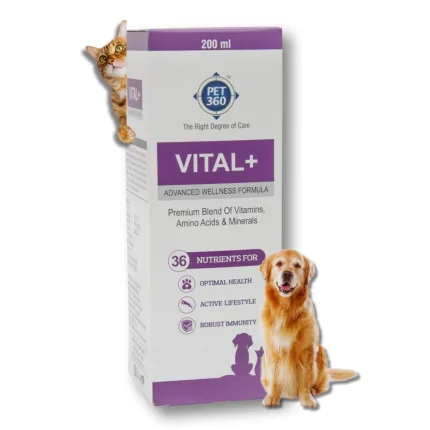 best pet vitamins supplements