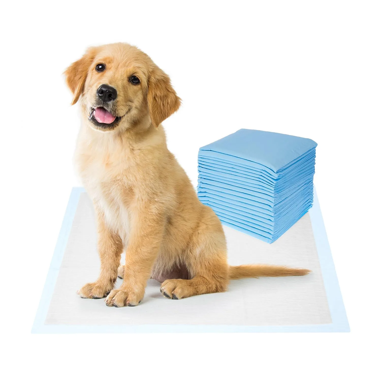 best dog training pads