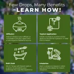 Rosemary Essential Oil for H - view 5