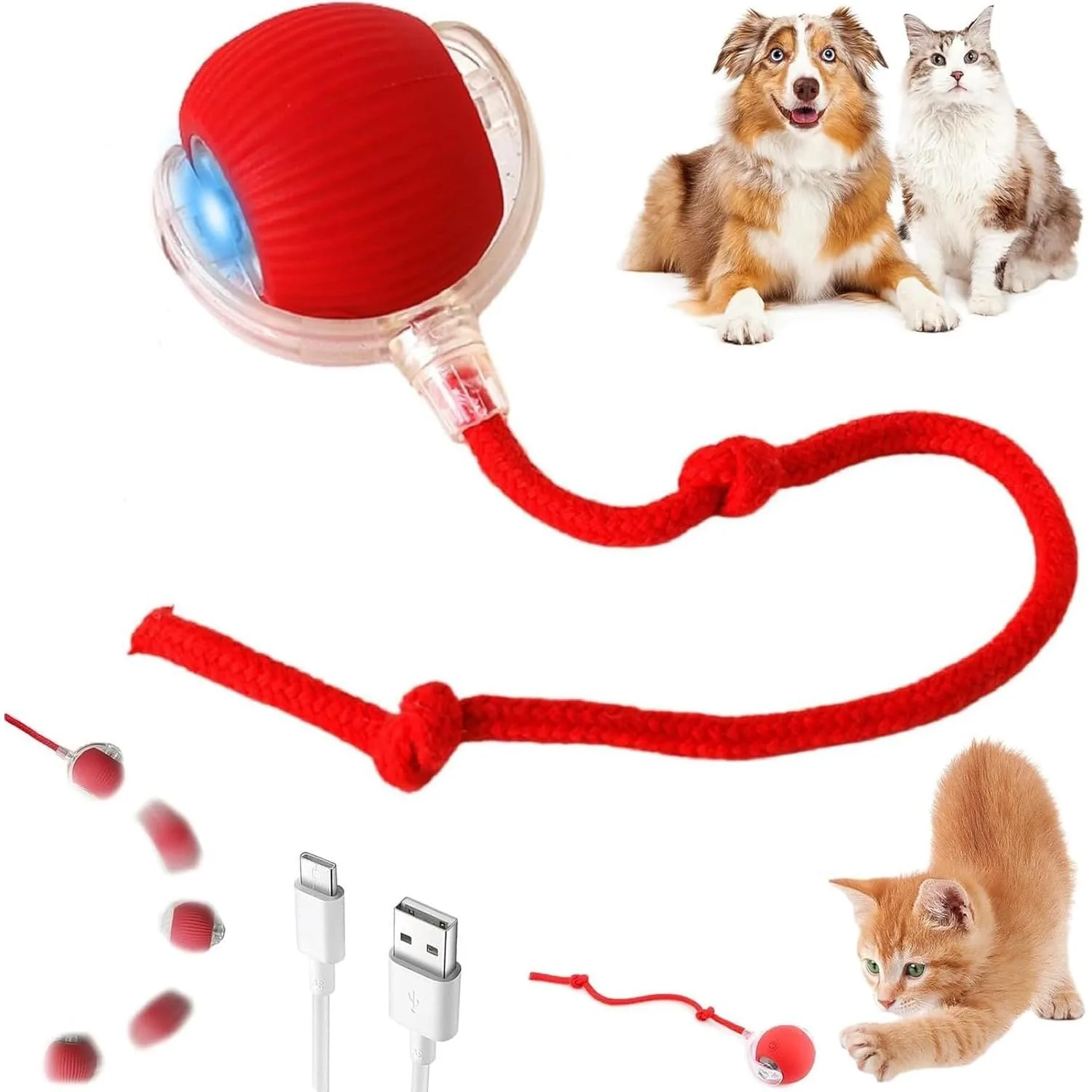 best cat toys interactive