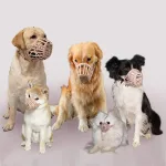 RvPaws Dog Mouth Cover Muz - view 7