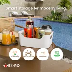 TEX-RO Storage Box and Org - view 3