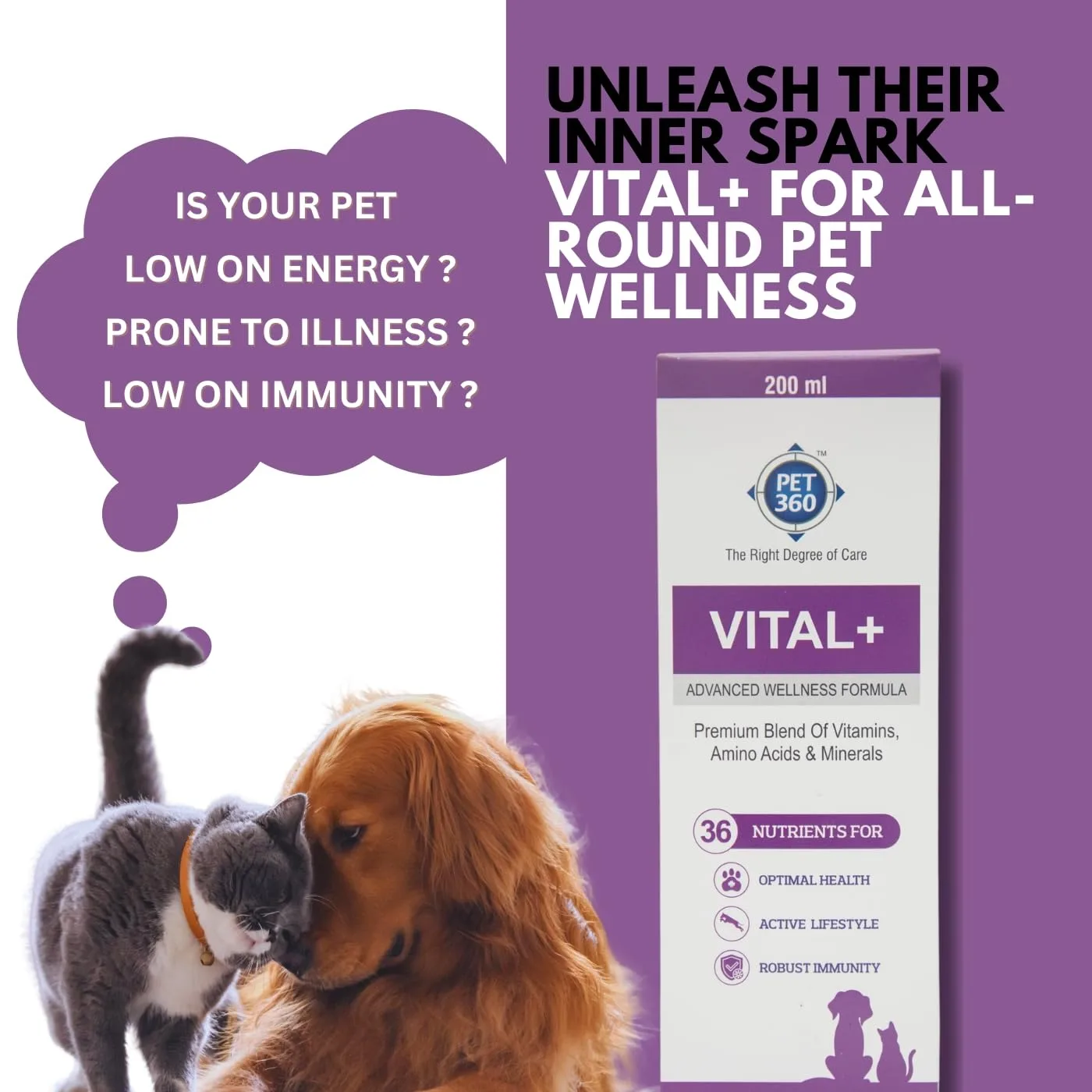 In-Depth Review: best pet vitamins supplements - PET360 Vital+ Advanced Wellness Formula | Daily Multivitamin Syrup | Healthy Skin, Joints, Immunity & 3 PET360 Vital+ Advanced Wel - view 2