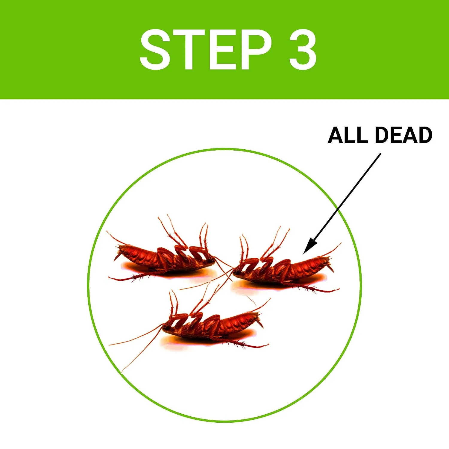 In-Depth Review: best cockroach gel - Cockroach Dot | Anti Cockroach gel with Neem extract(40gram) | Roach control | gel Bait with Easy to Use Injecti 10 Cockroach Dot | Anti gel wit - view 9