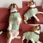 Lulala Turtleneck Dog Swea - view 4