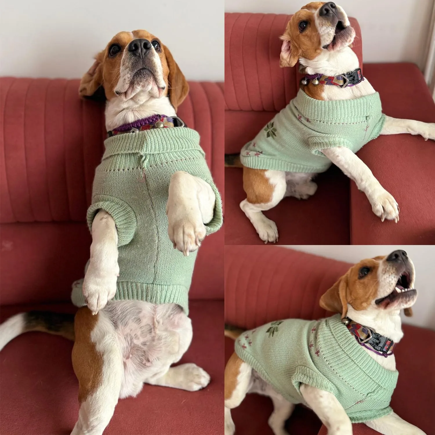 best dog sweater view 3