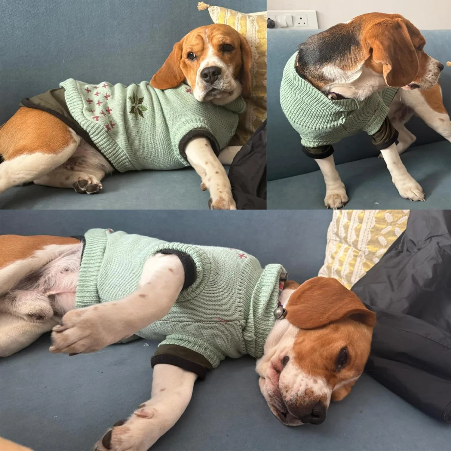 best dog sweater view 2
