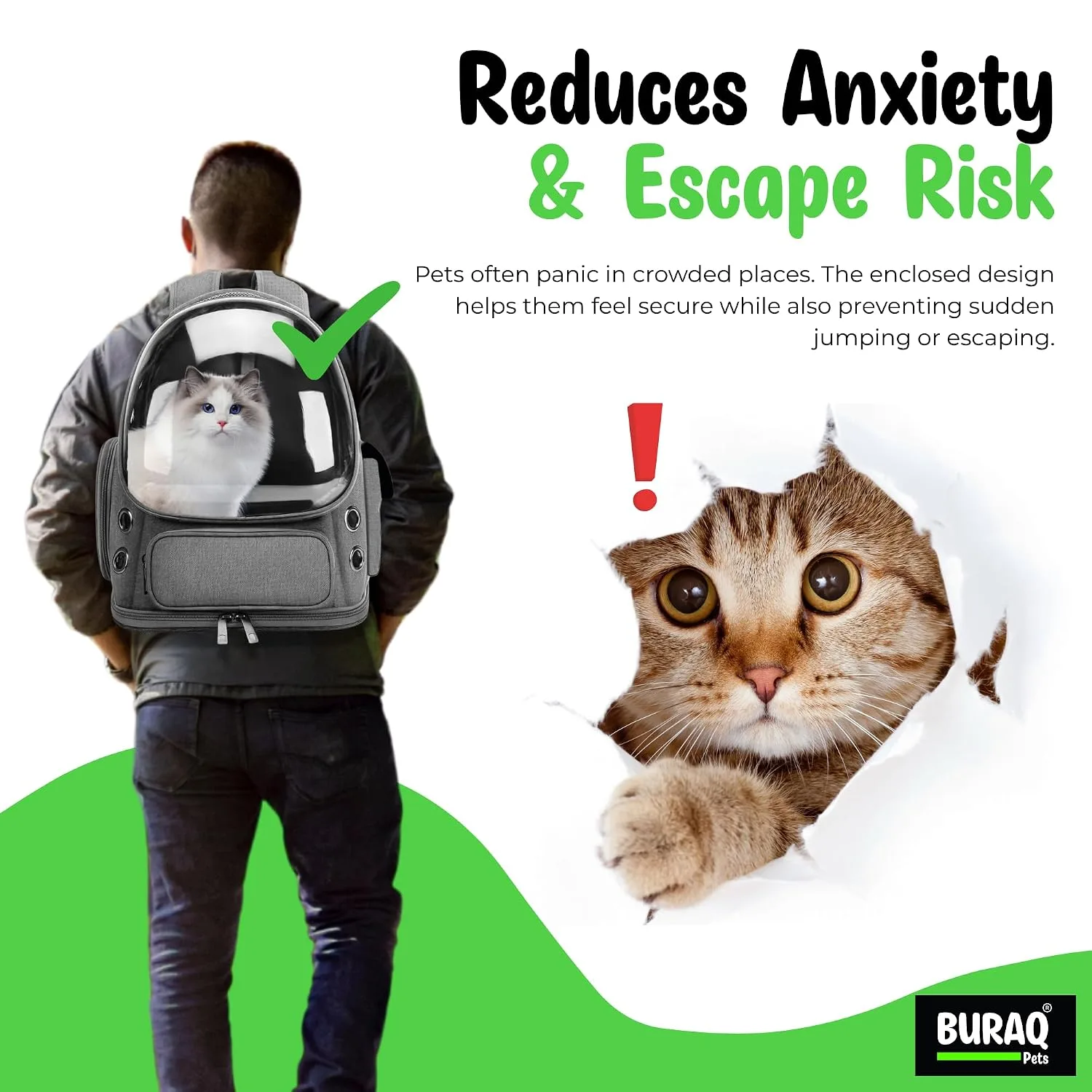 In-Depth Review: best cat carrier backpack - Buraq XL Astronaut Bubble Cat Backpack Carrier for Travel & Outdoor Use | | best cat carrier backpac 5 Buraq XL Astronaut Bubble - view 4