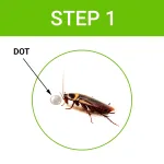 Cockroach Dot | Anti gel wit - view 7