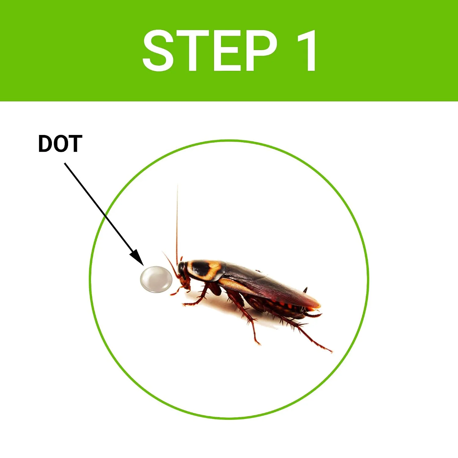 In-Depth Review: best cockroach gel - Cockroach Dot | Anti Cockroach gel with Neem extract(40gram) | Roach control | gel Bait with Easy to Use Injecti 8 Cockroach Dot | Anti gel wit - view 7
