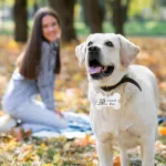 Customized Dog ID Tags Persona - view 5