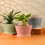 best planter pots decorative
