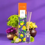 best aromatherapy diffuser