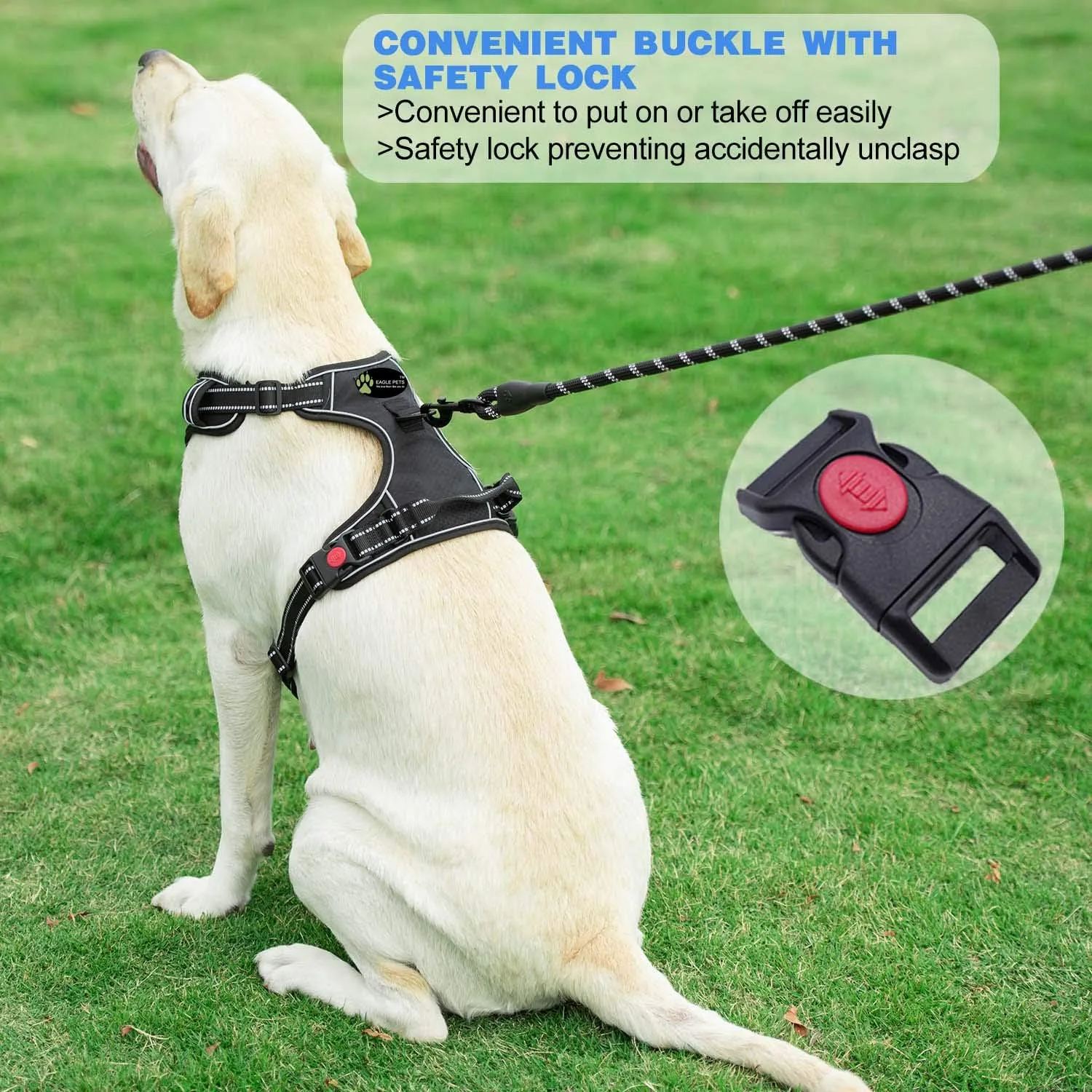 best dog harness - Premium No‑Pull Dog Harness with Rope L 2 Premium No‑Pull Dog Harne - view 2