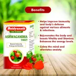 Baidyanath Asli Ayurved Ashwag - view 6