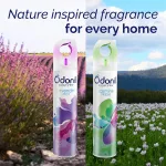 Odonil Air Freshener Room - view 4
