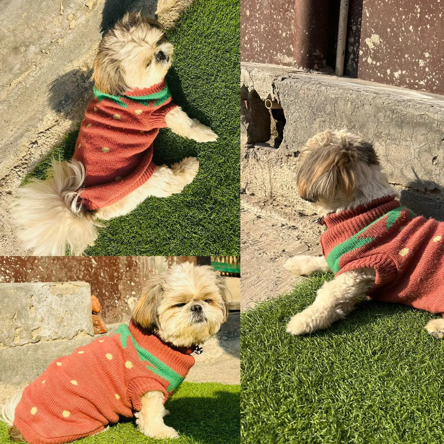 Lulala Dog Sweater, Knitte - view 4