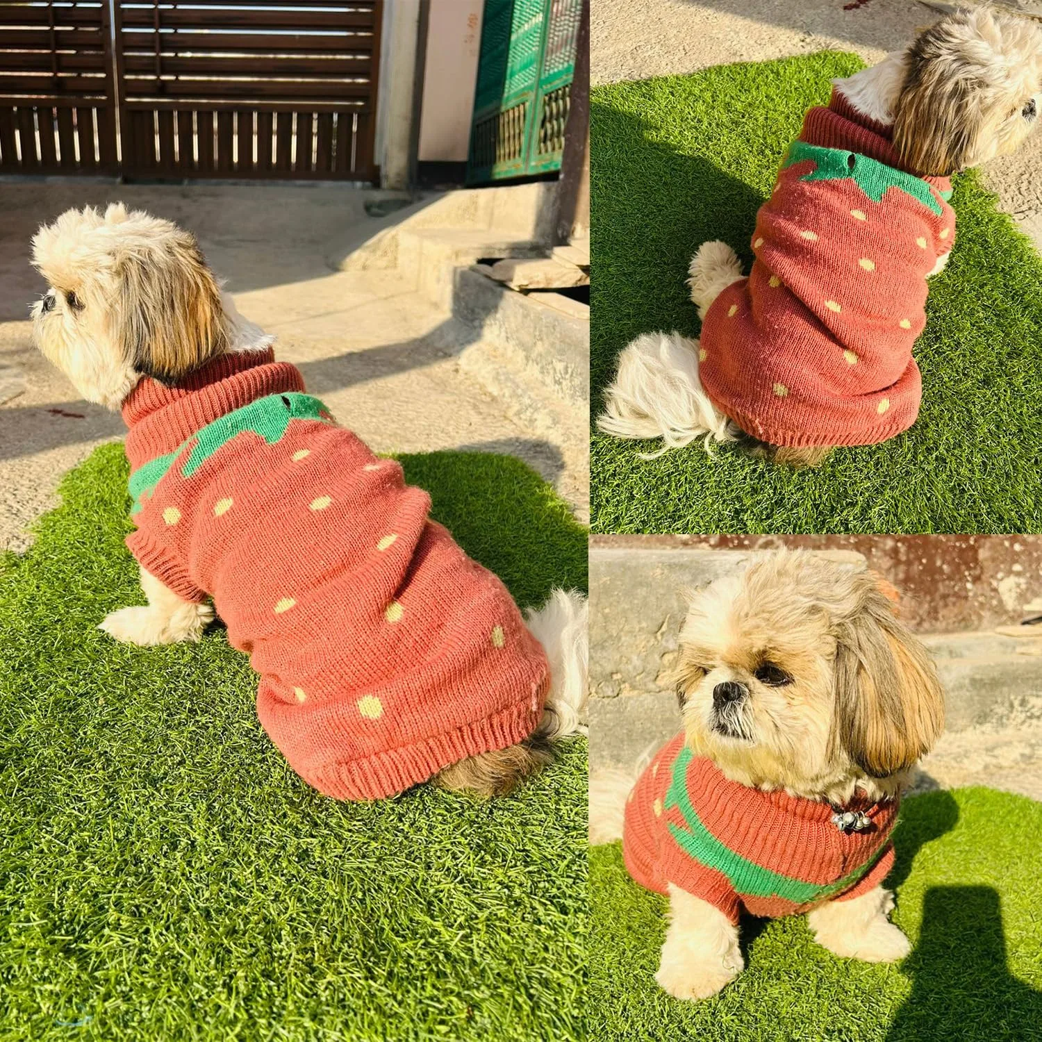Lulala Dog Sweater, Knitte - view 3